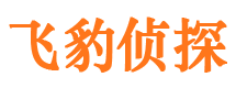 泸州外遇调查取证